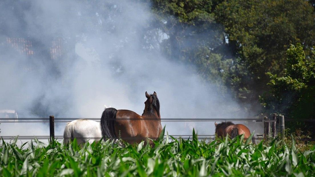 Paarden op tijd in veiligheid gebracht bij mestbrand in Geesteren