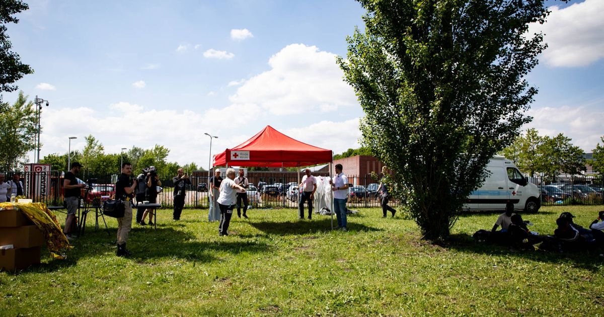 Tynaarlo Mayor Rejects Emergency Asylum Centers Amid Ter Apel Crisis