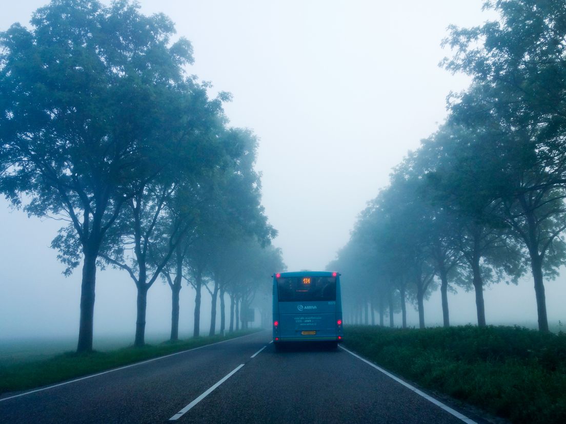 Bus in mist