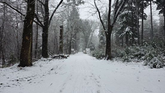 Inbrekers betrapt door voetsporen in de sneeuw
