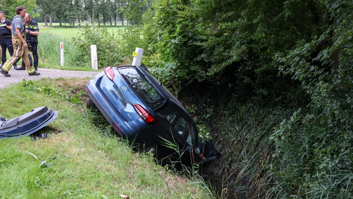 Auto rijdt tegen boom in Leeuwarden | Ree uit lijden verlost door politie