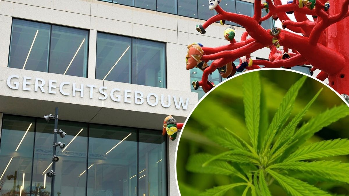 Zeeuwse drugsverdachten worden na elf jaar wachten niet meer vervolgd