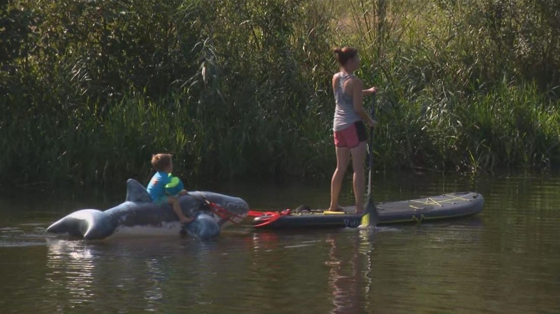 'Walvis' in rivier de Vecht