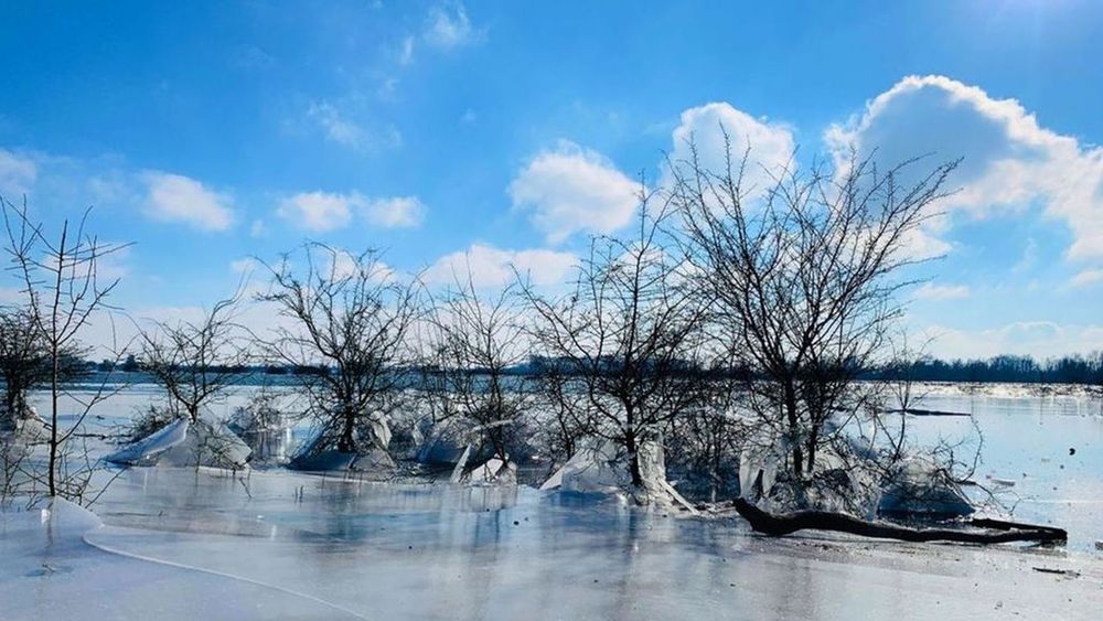 'Het kan wel eens een hele koude winter worden' - Omroep Gelderland