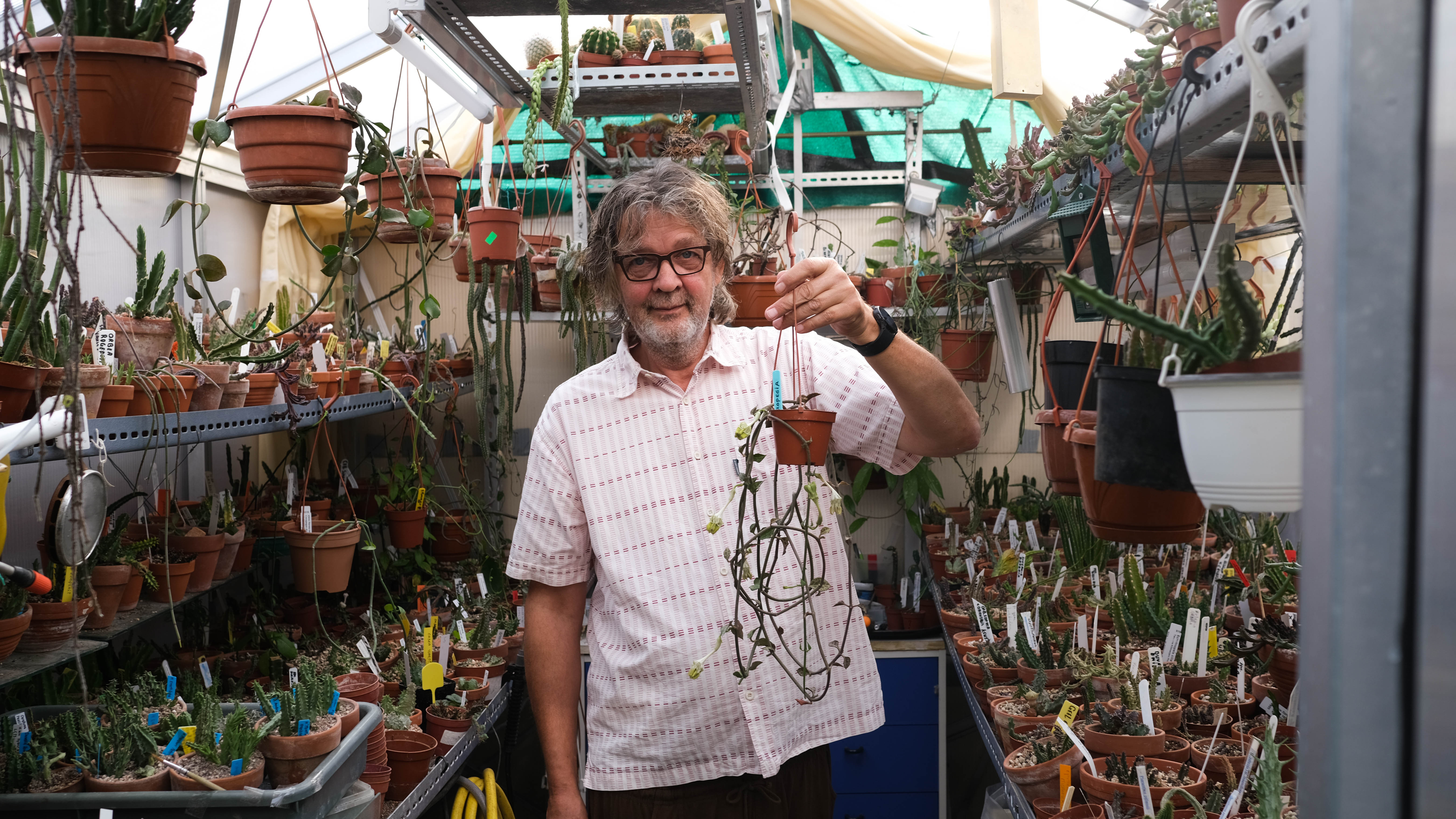 Jan kweekt honderden zeldzame, stinkende cactussen in zijn achtertuin: ‘De bedragen die hierin omgaan zijn absurd’