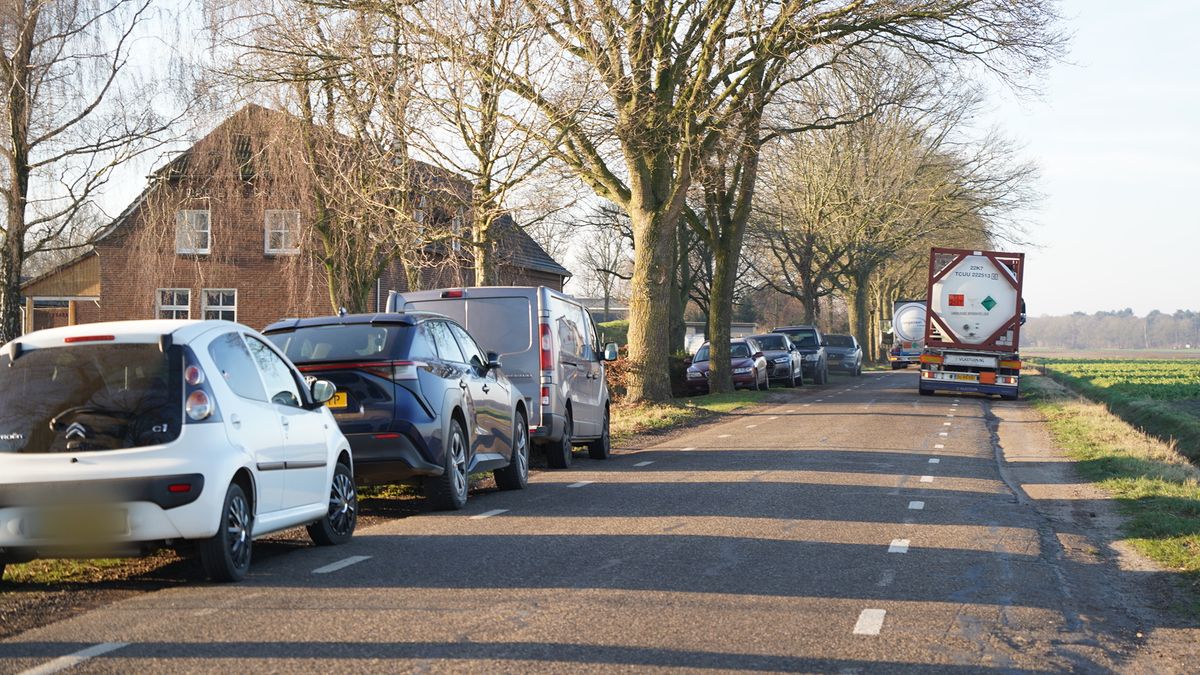 Vogelgriep: 24.500 kalkoenen van bedrijf Ysselsteyn worden geruimd