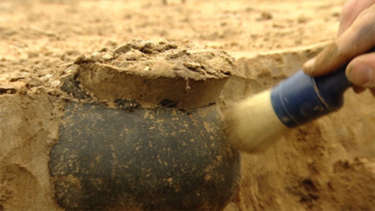 Werktuigen van Neanderthalers gevonden in Sint Geertruid