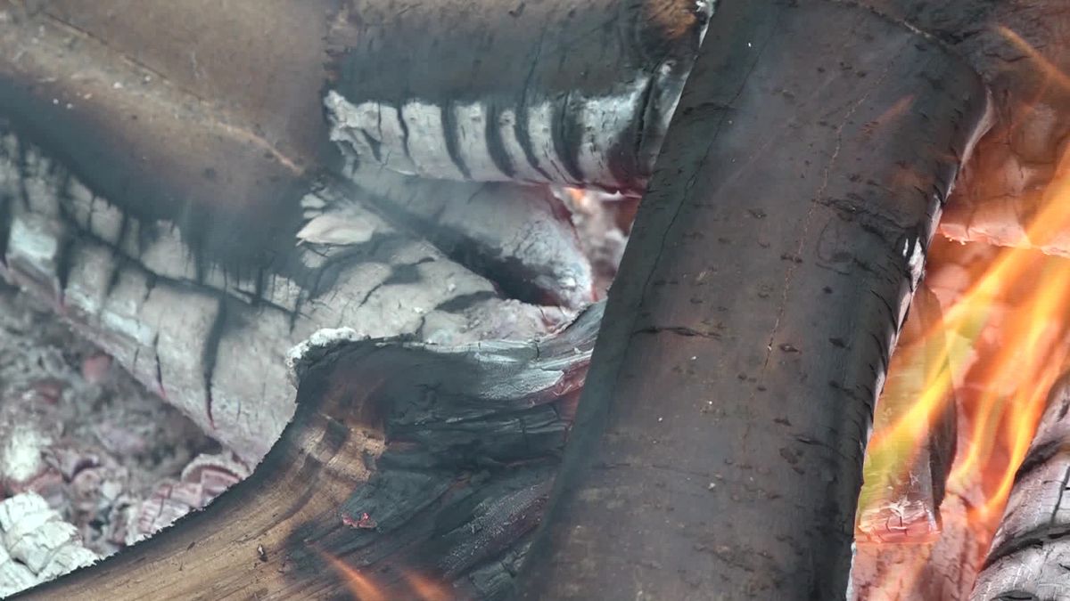 Sinterklaas is net binnen, maar Koekange al in kerstsfeer op Landgoed Welgelegen