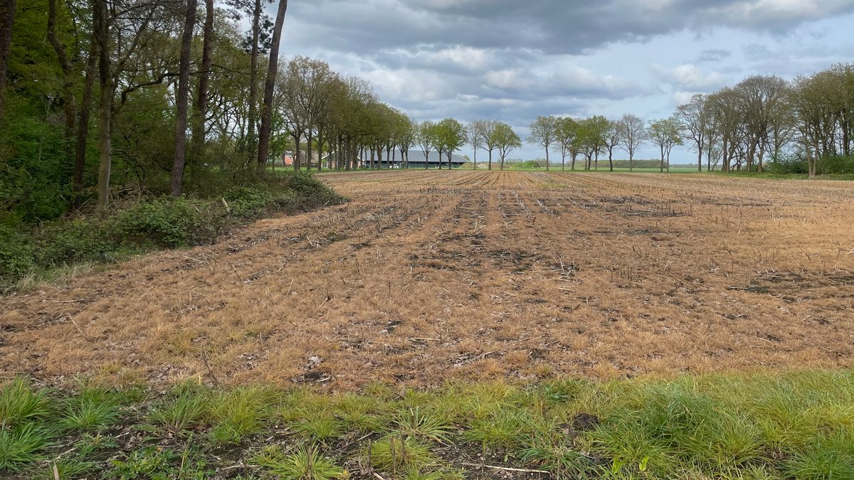 Boete voor man die bij Zwinderen met 1.600 liter pesticiden in fuik politie reed