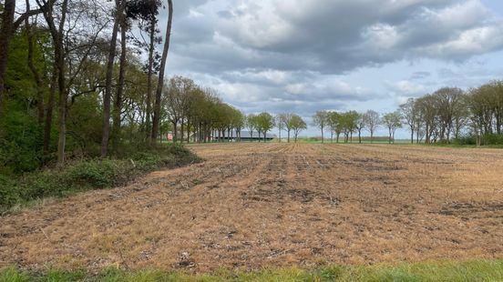 Boete voor man die bij Zwinderen met 1.600 liter pesticiden in fuik politie reed Nieuws