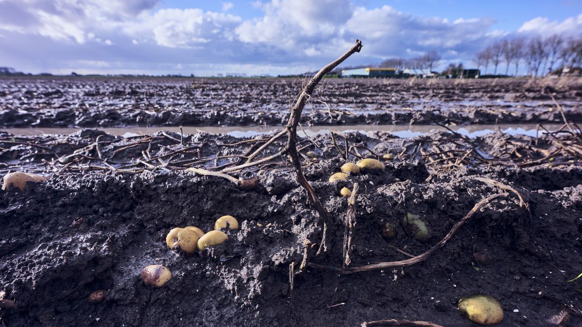Kans op natte voeten en mislukte oogst door uitbreiding gaswinning in grensregio, overheden in beroe
