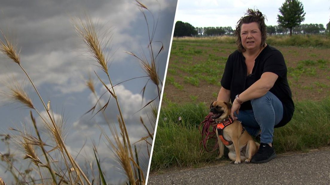 Puck, de hond van Marianne, had een grasaar in haar neus.