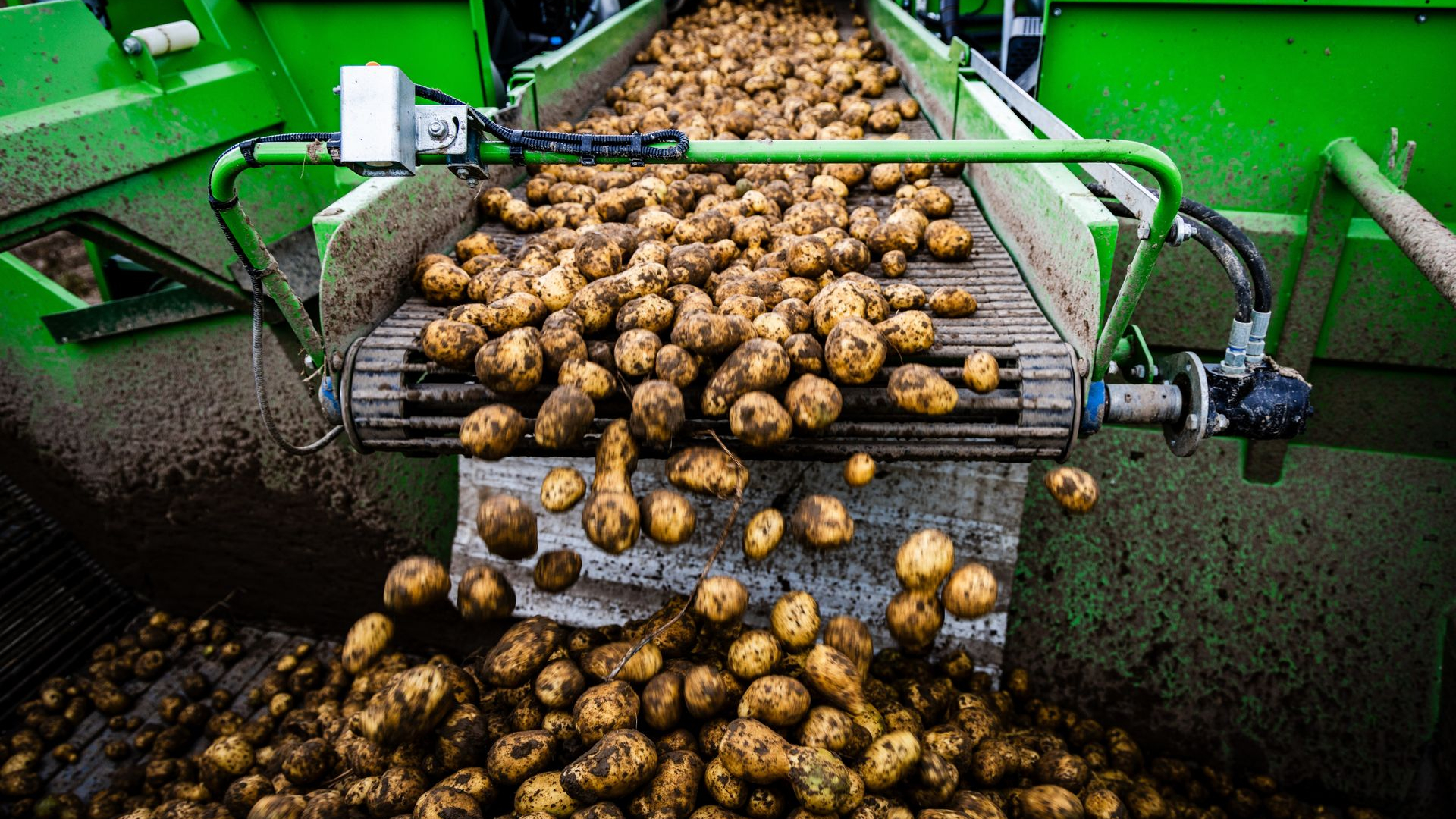 Boeren kunnen hun aardappels niet kwijt
