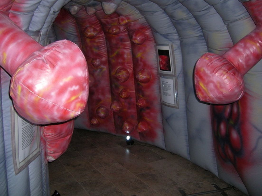 2010-Maag.cropresize.1.jpg
