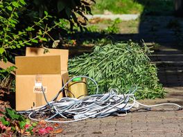 Ruim duizend wietplanten gevonden in loods in Peize