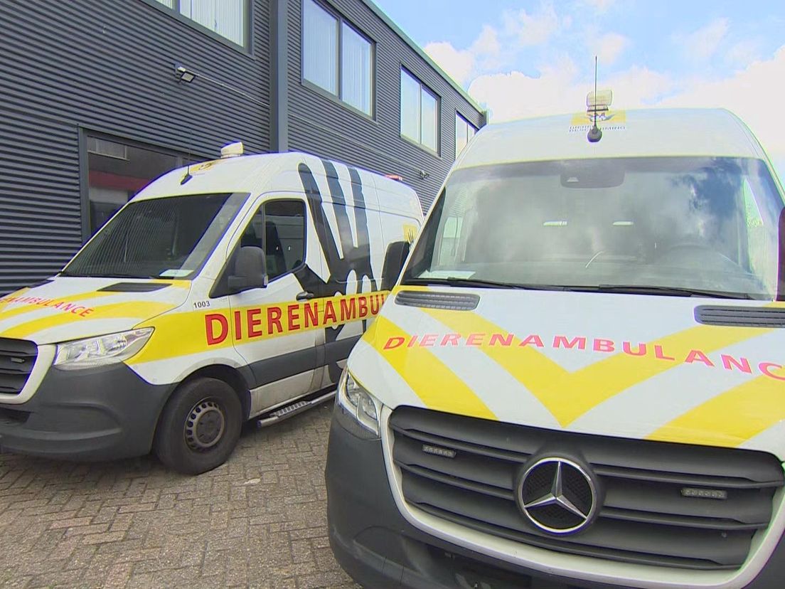 Wagens van Dierenambulance Zuid-Holland-Zuid