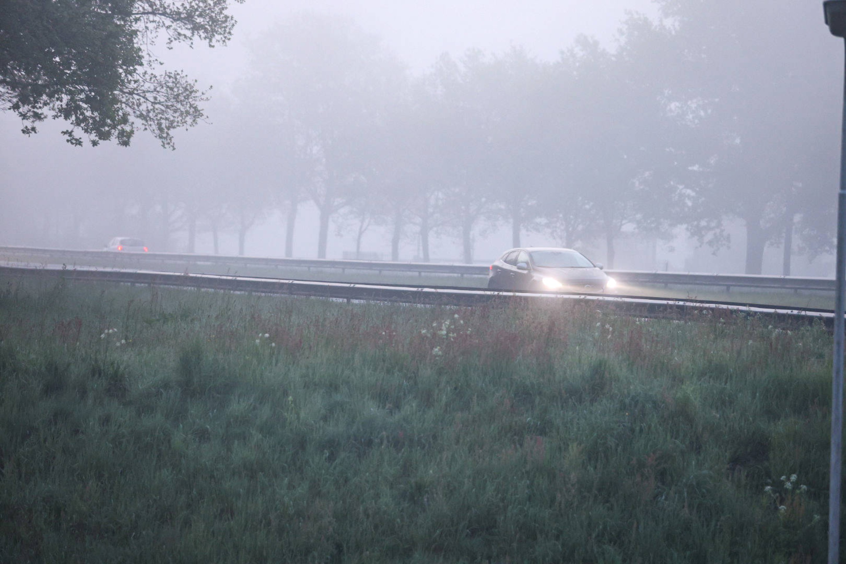 Winterweer voorbij: 'Sneeuwmist kan plotseling opdoemen'