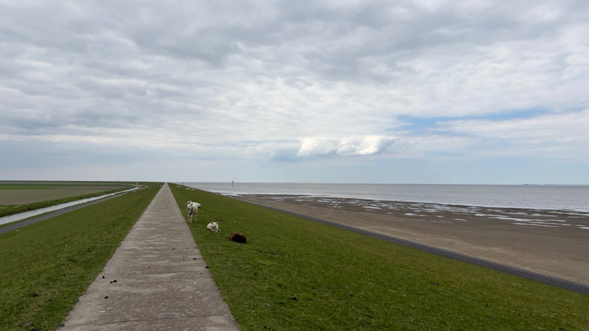 Bezoekers van de Wadden gewezen op gedragscode