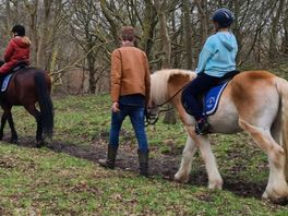 Therapeutisch paardrijden helpt mensen met allerlei klachten: 'Ze worden er rustig van'