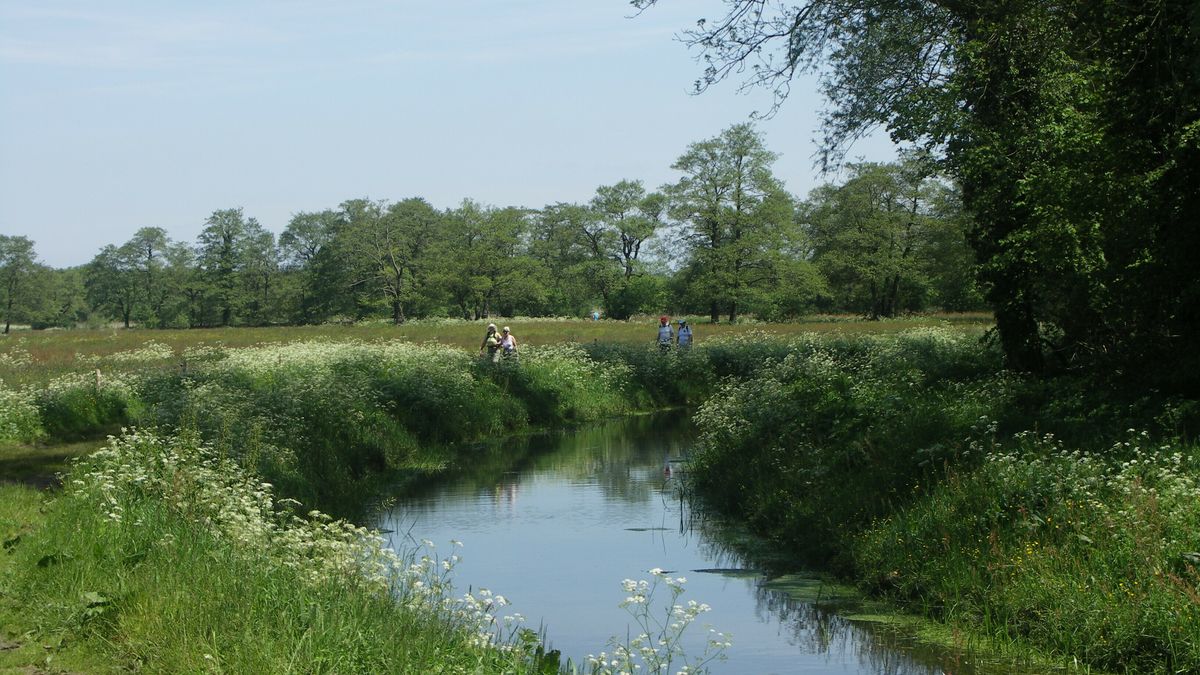 Leer de Drentse natuur kennen met een van deze excursies