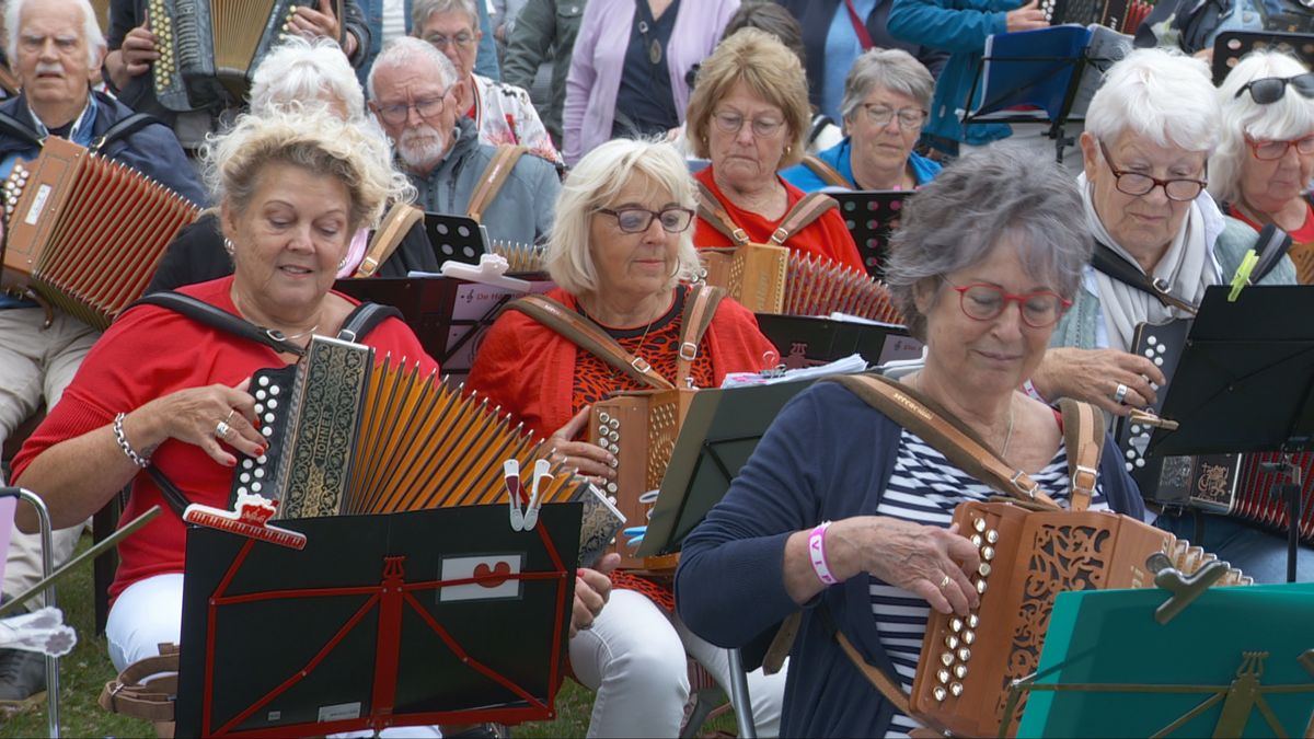 Een record van 135 trekharmonica’s in Harkema: zo klinkt dat samen