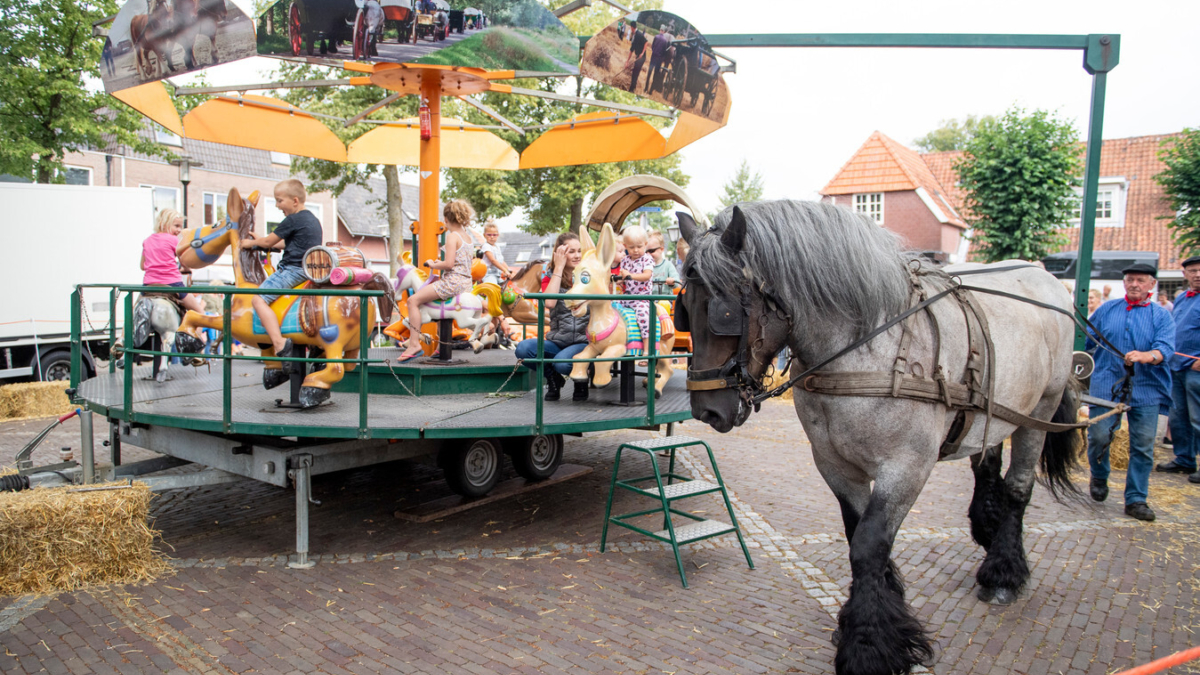 Veel kinderplezier op pony en paardenmarkt van Enter
