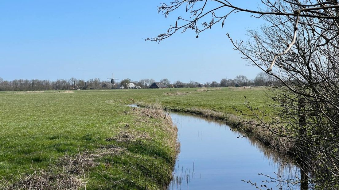 Een deel van de Medenertilsterpolder met Feerwerd op de achtergrond