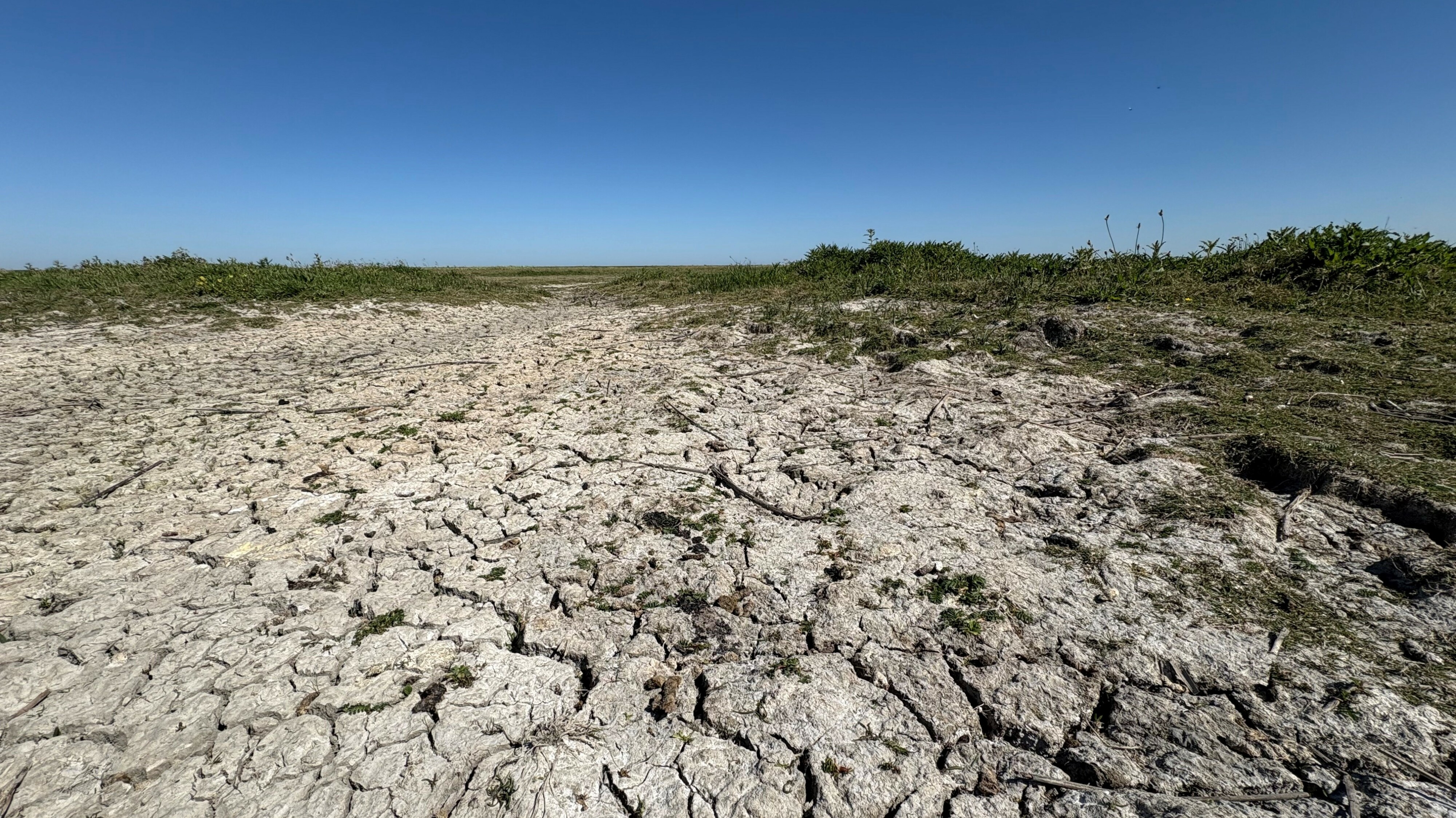 Hier buitendijks is de droogte goed te zien
