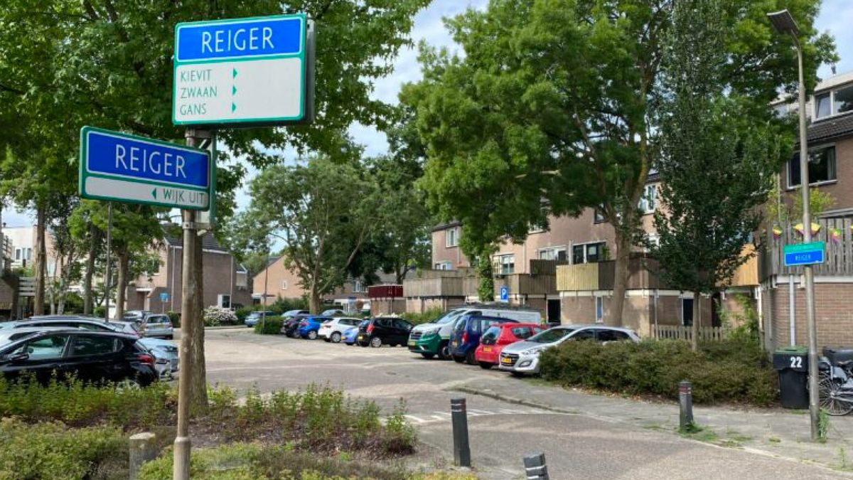 Onrust in woonwijk over bomenkap: 'Gemeente wil 65 procent van bomen kappen'