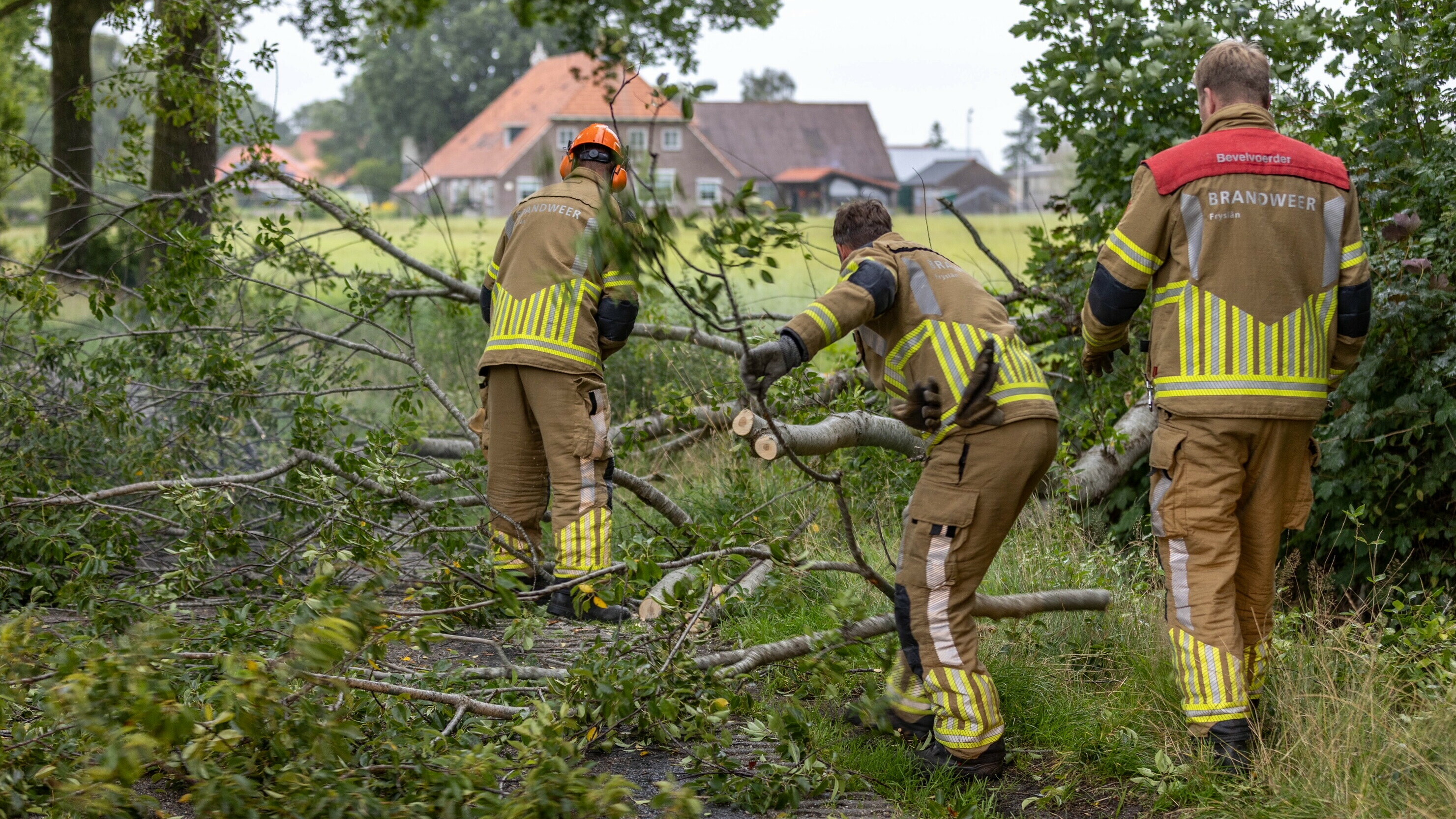 Beammen waaie om en blokkearje dyk by Boyl