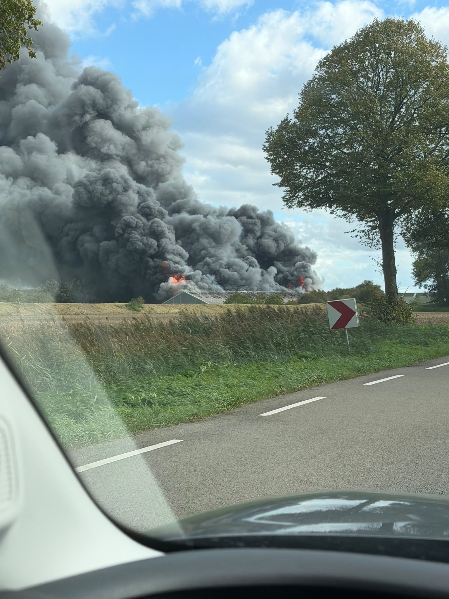 18.000 kippen omgekomen bij grote brand in kippenschuur bij Biervliet