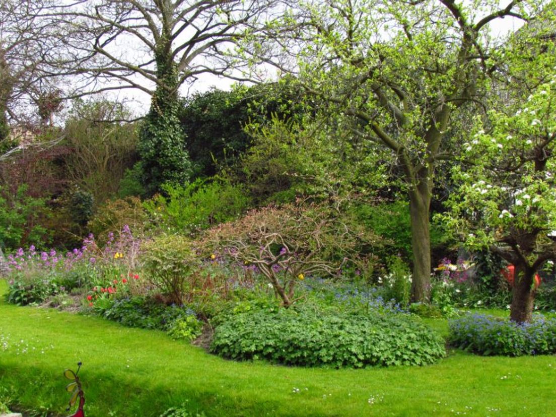 De tuin van Huib Sneep