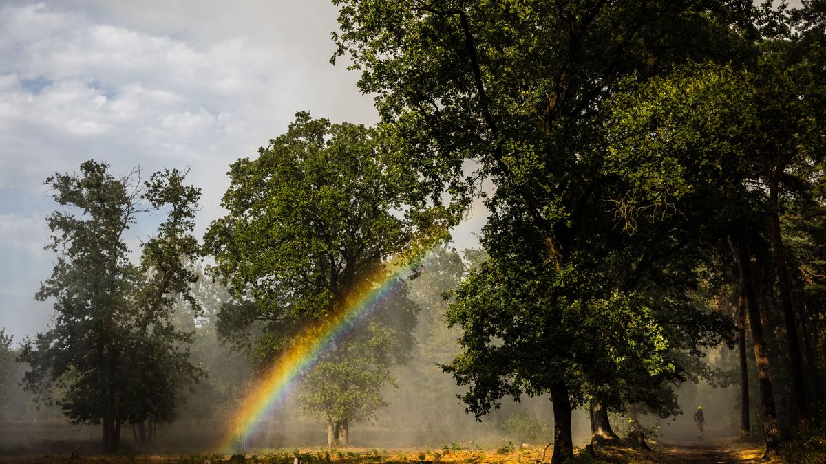 TERUGLEZEN: Brand nog altijd niet onder controle, burgemeester roept op weg te blijven