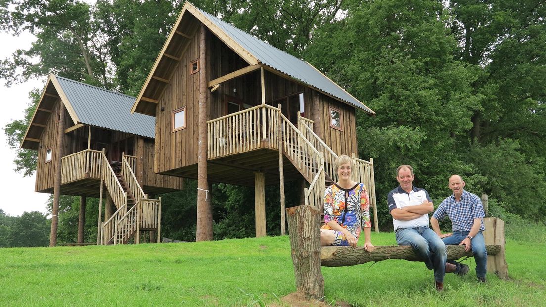 De Koeksebelt Ommen Camping van het jaar