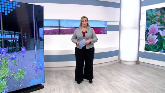 Sierteeltverbod in Westerveld