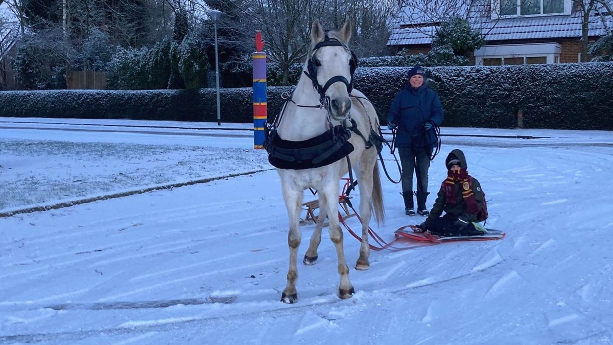 Rondje Sneeuw: Met paard en slee naar school - RTV Noord