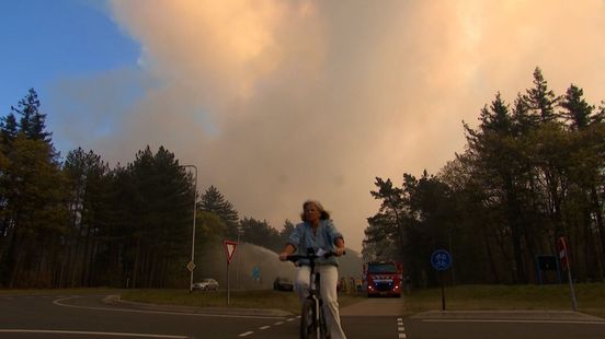 Angstige momenten voor Kim: jong paard schiet voor vrachtwagen langs