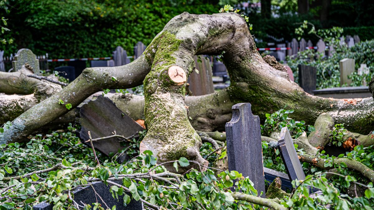 Treurbeuk valt op graven in Oosterwolde