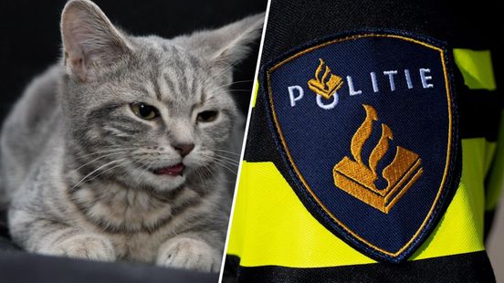 Politie ziet opgesloten 'kat' in auto, maar het blijkt iets anders