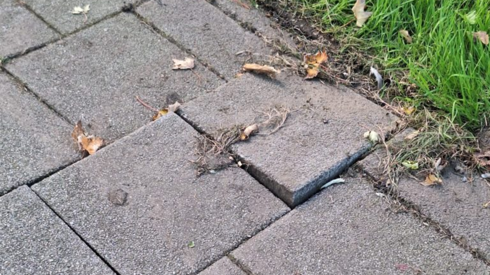 Door de tegels is een buurtbewoner al gevallen en ze brak daarbij haar pols.