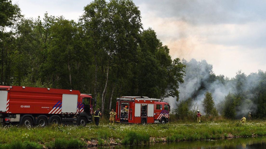 In Klazienaveen was er een klein natuurbrandje. De brandweer had de situatie snel onder controle (Rechten: De Vries Media)