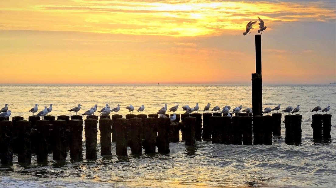 Zonsondergang op het strand Westkapelle