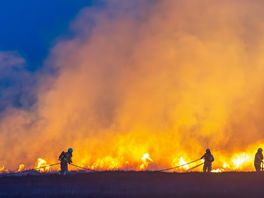 Natuurbrandrisico in Drenthe opgeschaald: 'Verwacht dat het wat langer gaat duren'