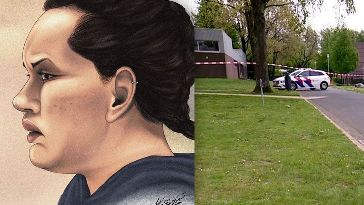 18 jaar cel en tbs voor moord op verpleegkundige bij Mondriaan in Heerlen