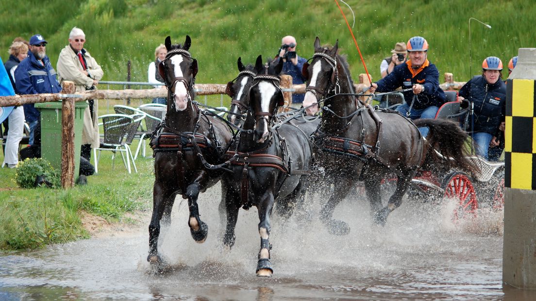 Twee paardenverzorgers werden afgelopen weekend beroofd in Exloo (Rechten: archief RTV Drenthe)