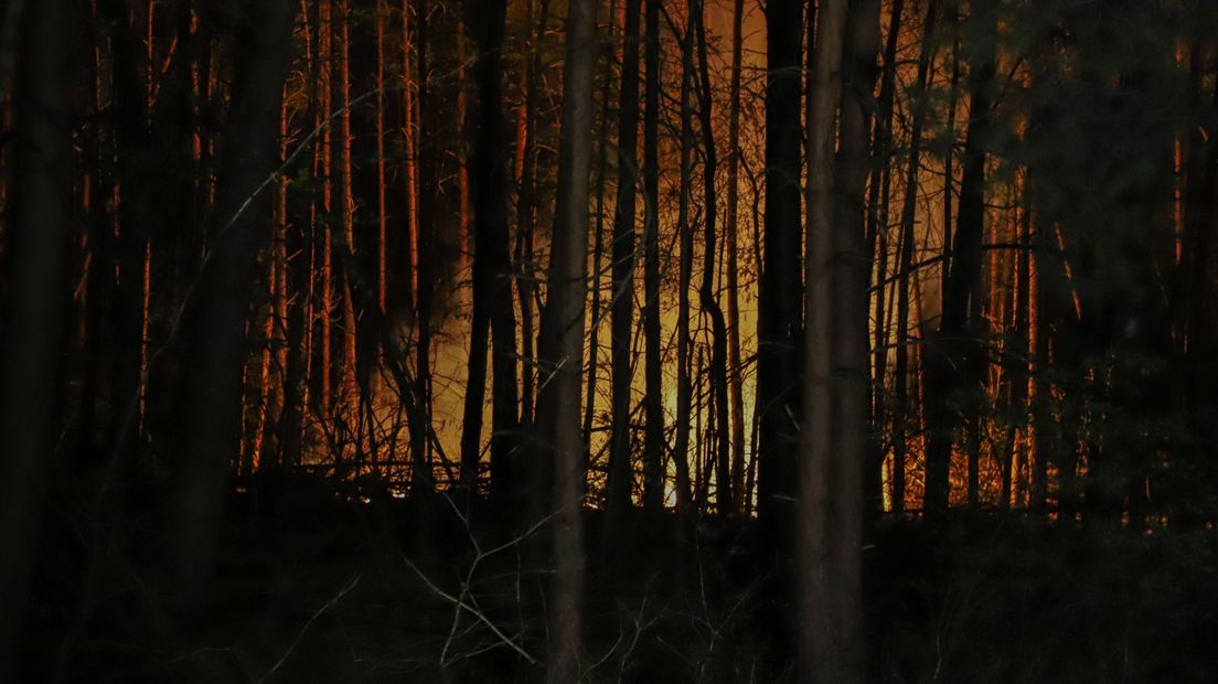 Een stuk bos van zo'n 10x10 meter is in de nacht van donderdag op vrijdag in vlammen opgegaan. De brand in het stuk bos ter hoogte van het Herenhul werd rond 01.00 uur ontdekt.