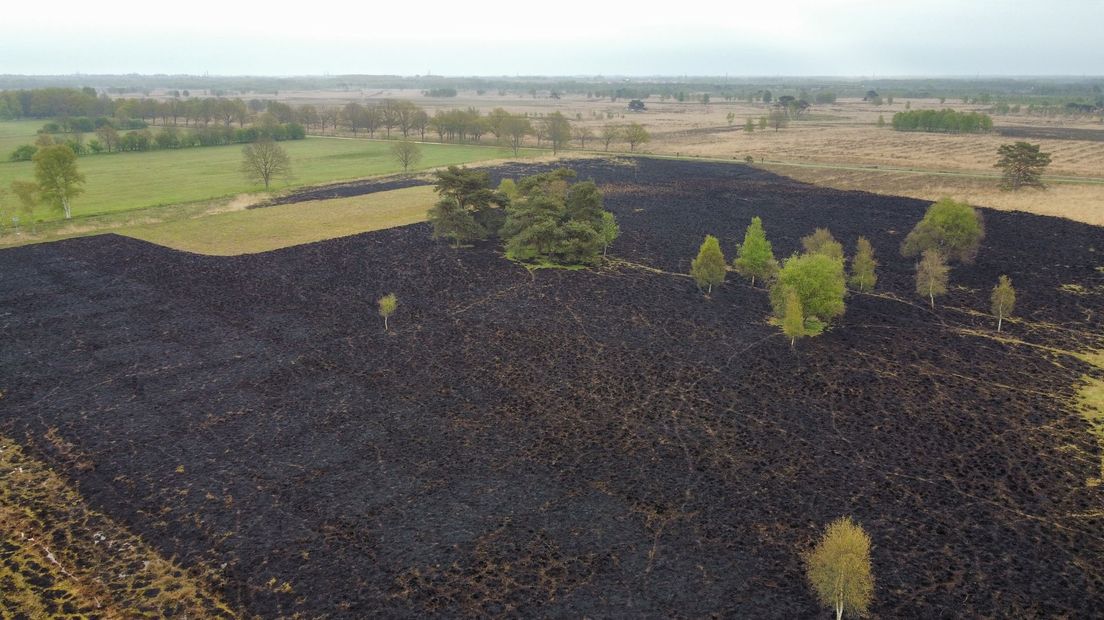 De Paaskamp na de brand