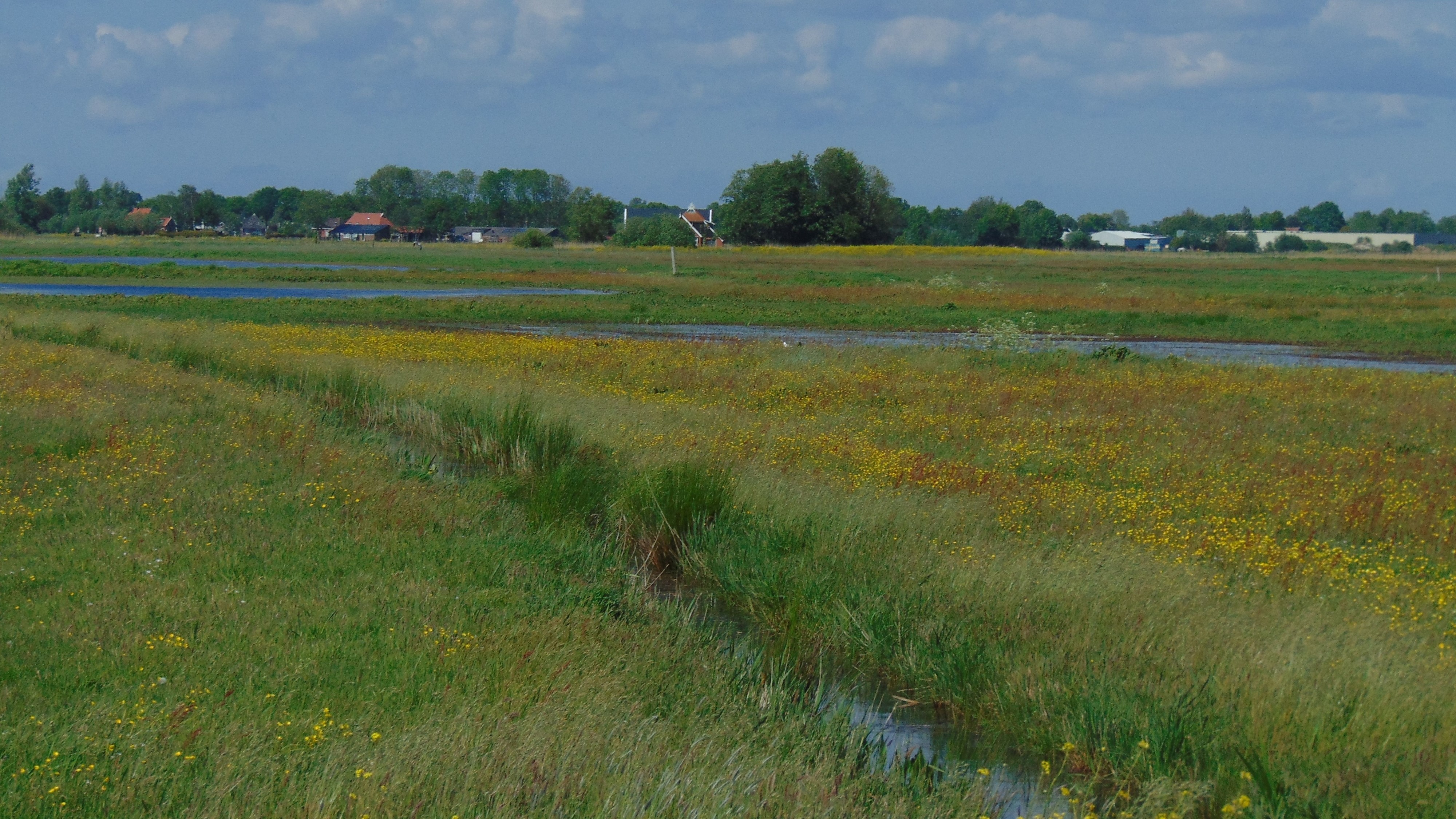 Van Oordt's Mersken, een natuurgebied dat onderdeel is van Natura 2000