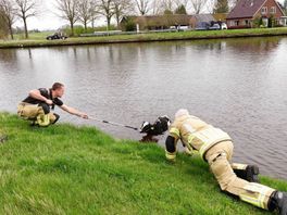 112 Nieuws:  Koe te water, brandweer krijgt het dier na aantal reddingspogingen uit het kanaal