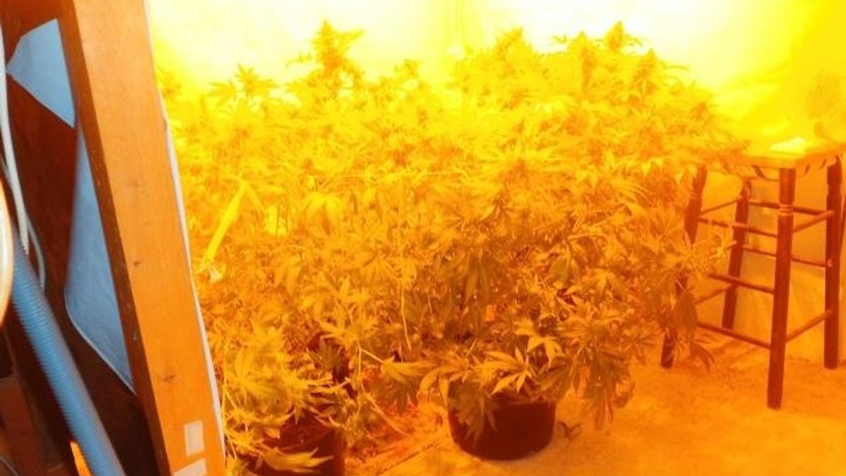 Enorme stankoverlast door wietkwekerij in Emmen